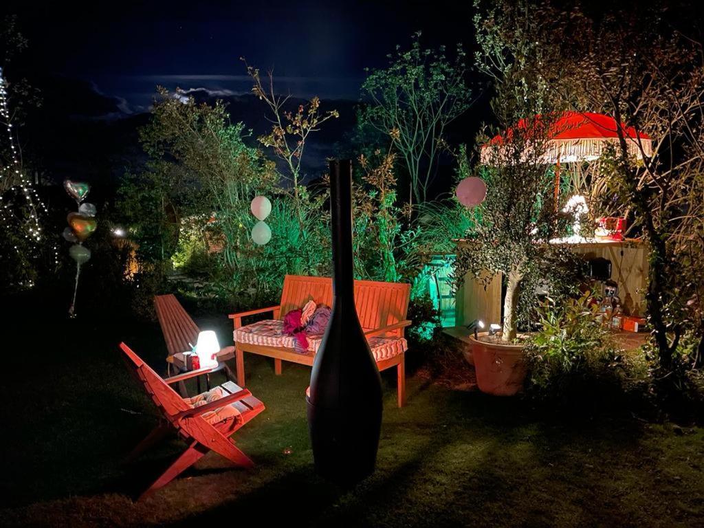 Dragonfly Glamping Spa Retreat Ashford  Eksteriør billede