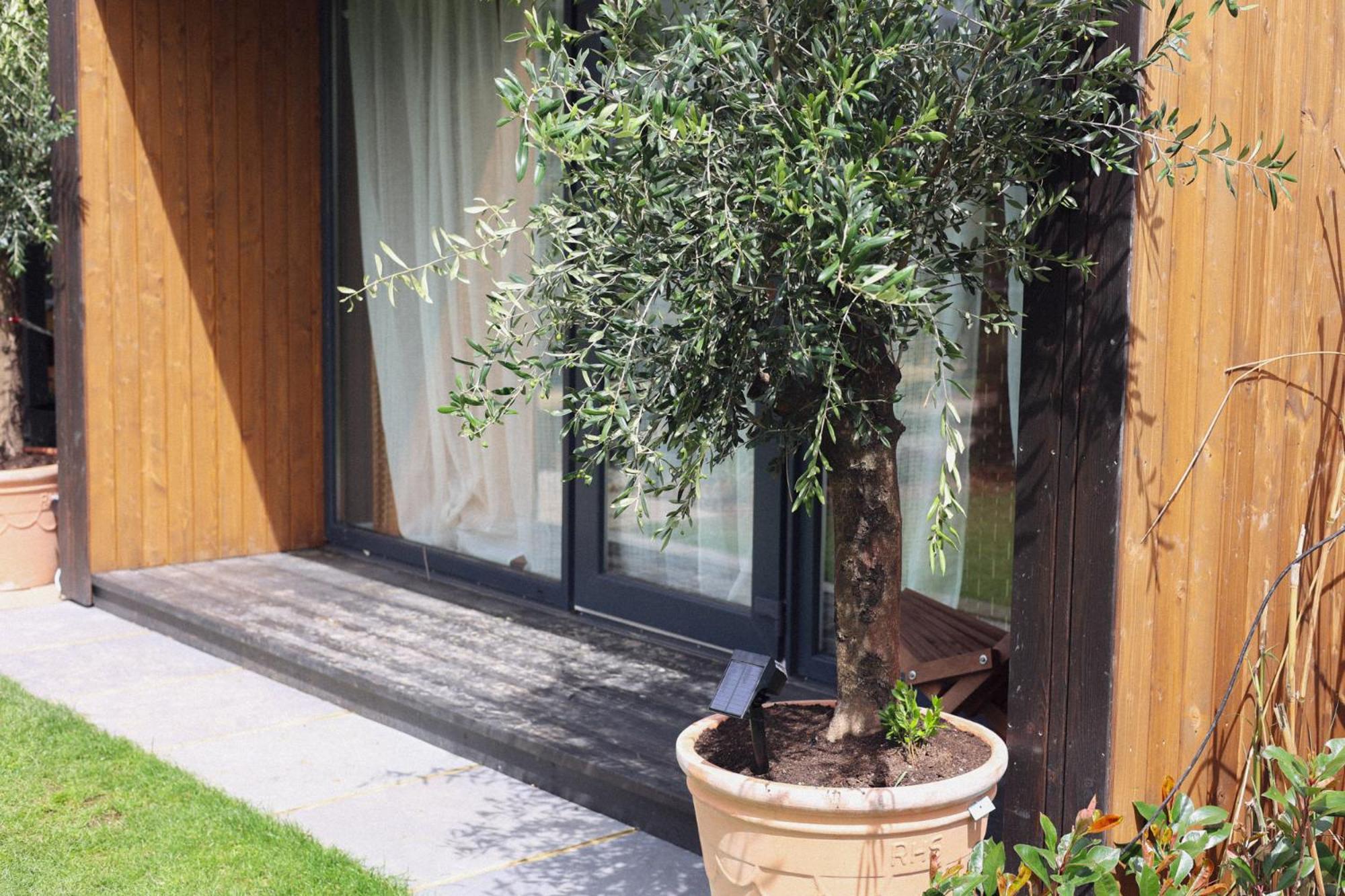 Dragonfly Glamping Spa Retreat Ashford  Eksteriør billede