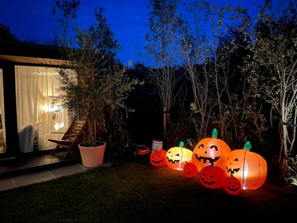 Dragonfly Glamping Spa Retreat Ashford  Eksteriør billede