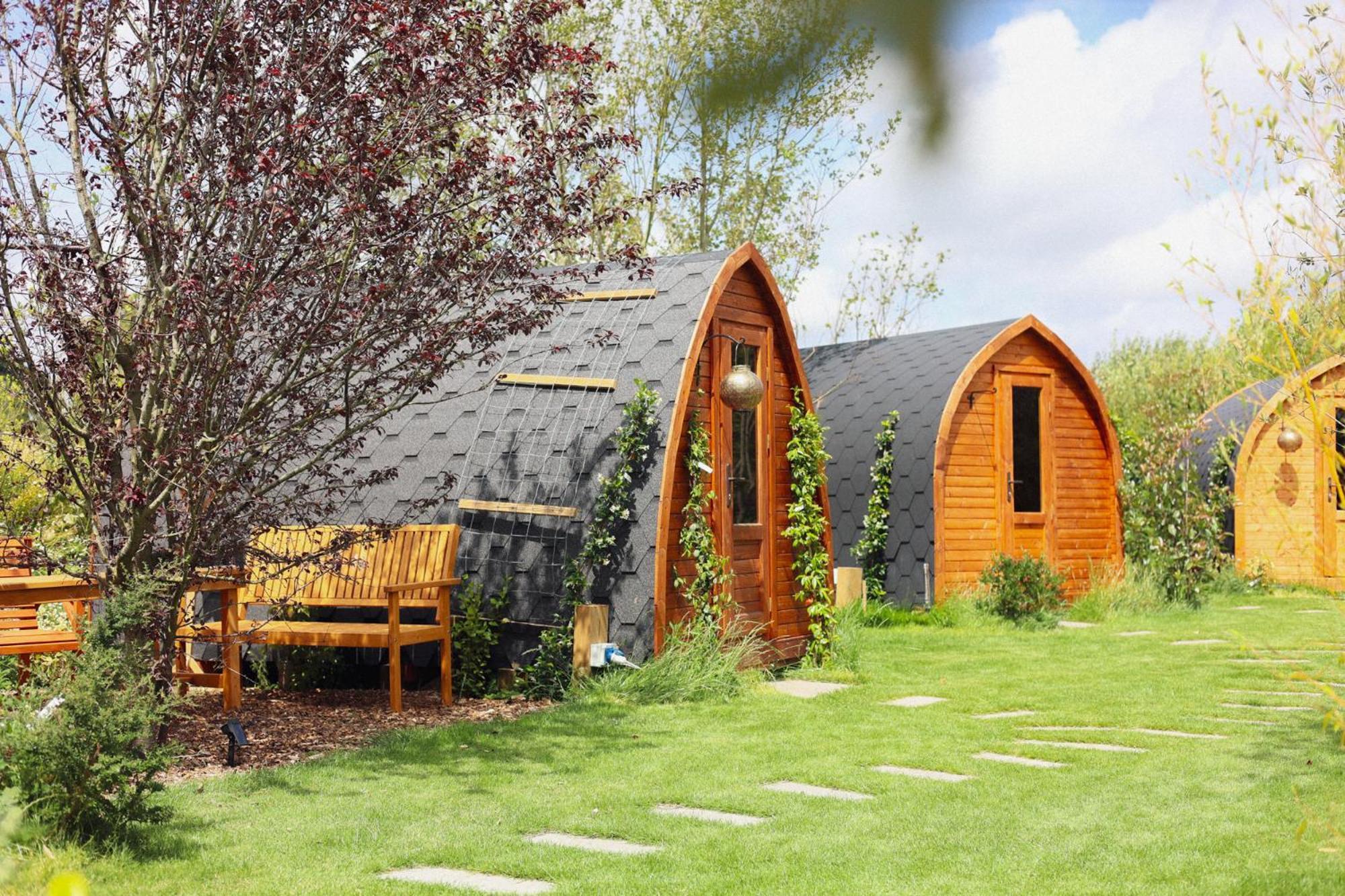 Dragonfly Glamping Spa Retreat Ashford  Eksteriør billede